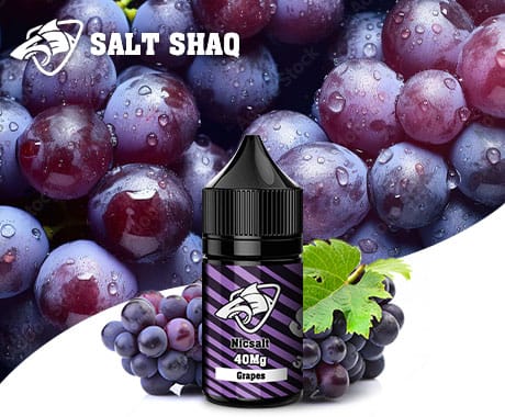 【鯊克SALT SHAQ】原裝進口菸油/電子菸菸油品牌/30ml/水果類口味