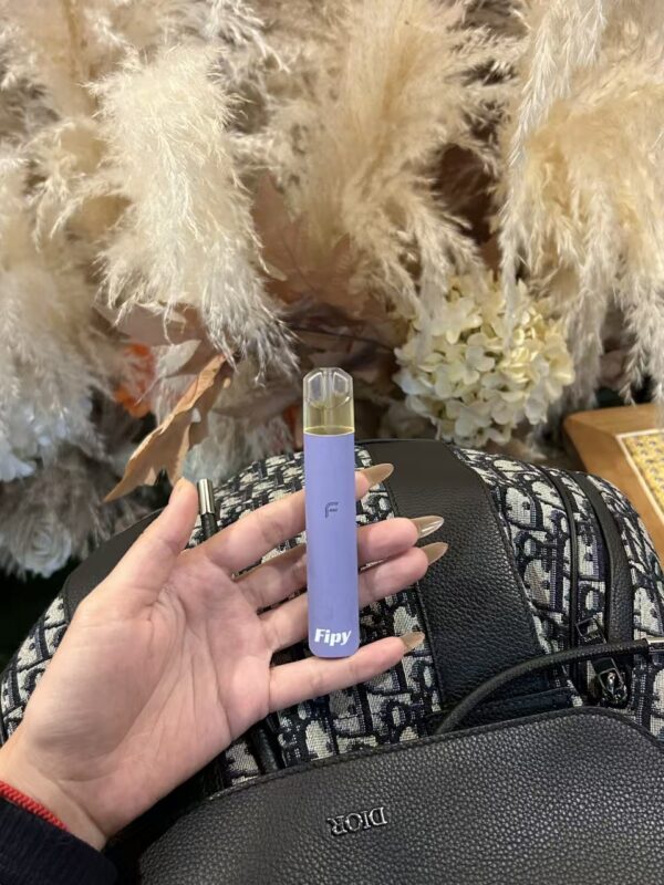 FIPY果派電子煙主機