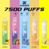 Xiaoke枭客7500口一次性抛弃式電子煙