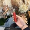 FIPY果派電子煙主機