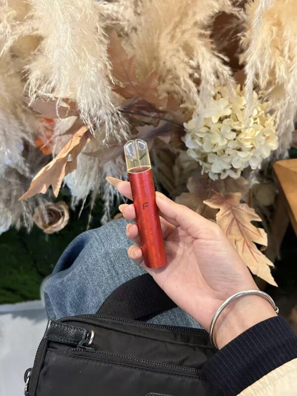 FIPY果派電子煙主機