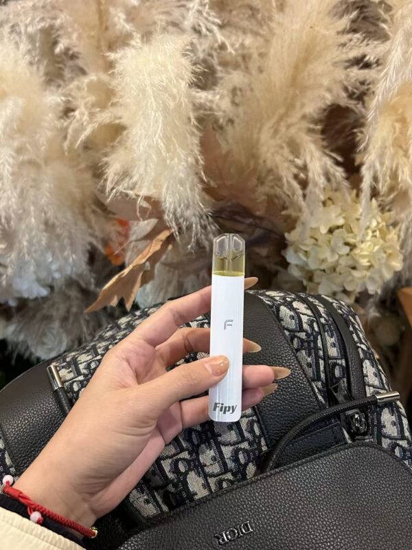 FIPY果派電子煙主機