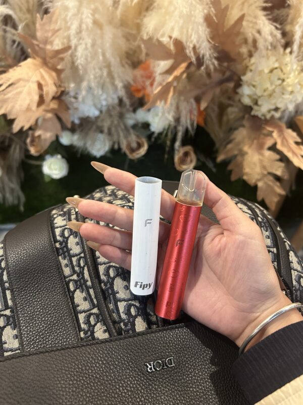 FIPY果派電子煙主機