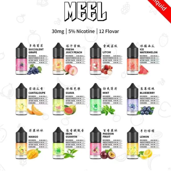 MEEL 小菸菸油|台灣現貨 | 高雄 電子菸油|30ml /30mg