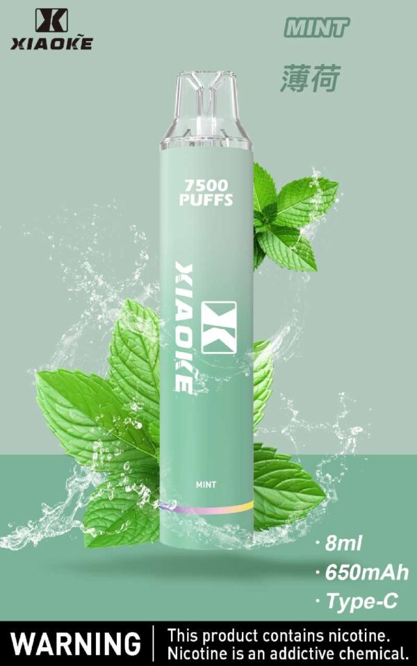 Xiaoke枭客7500口一次性抛弃式電子煙